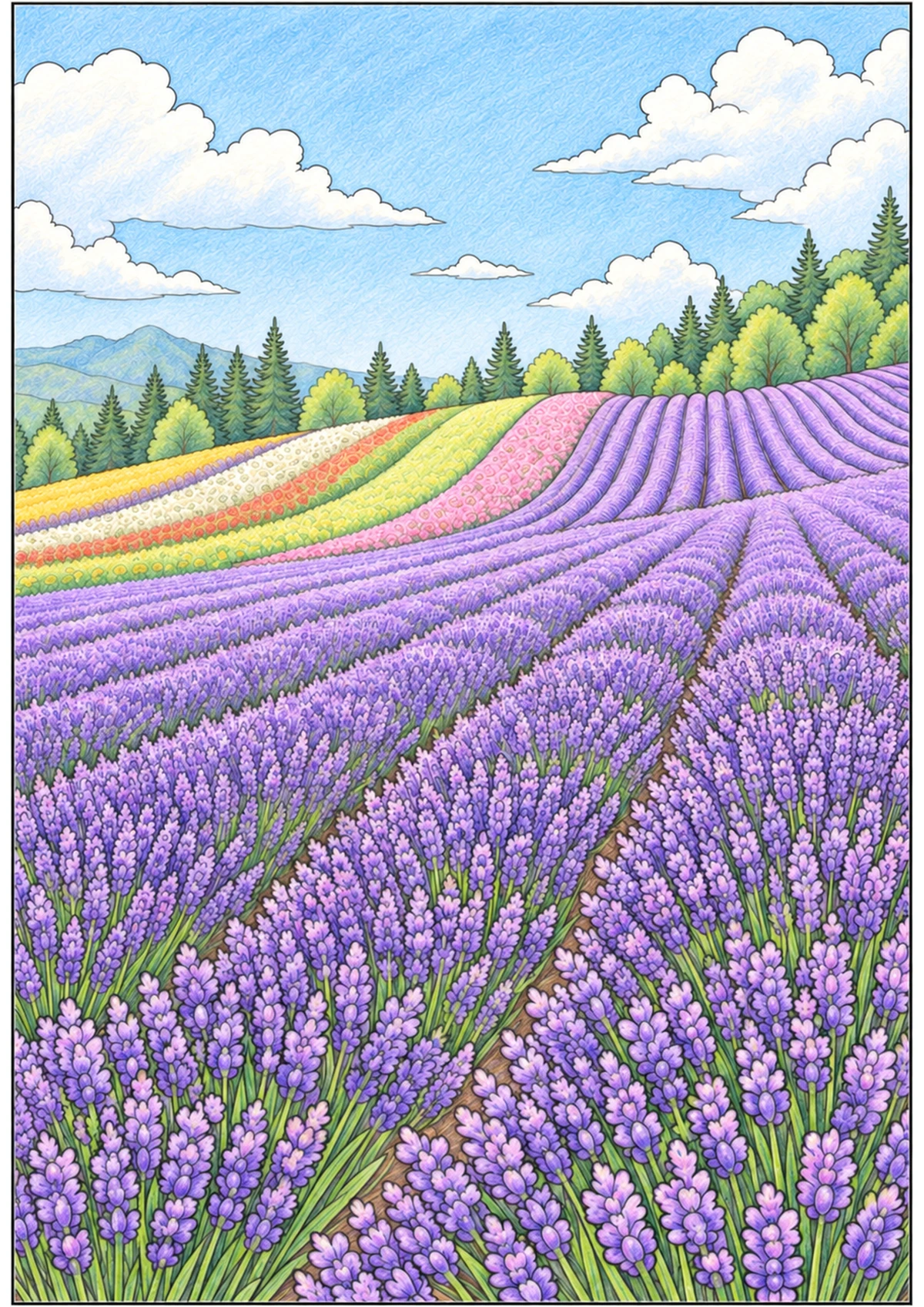 Furano Lavender Fields colored pencil coloring example